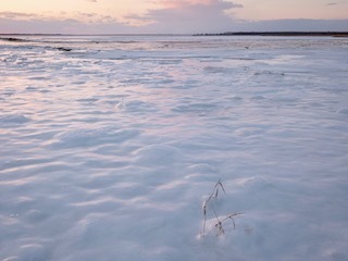 IMG_3193.jpg