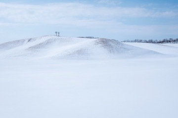 IMG_3196.jpg
