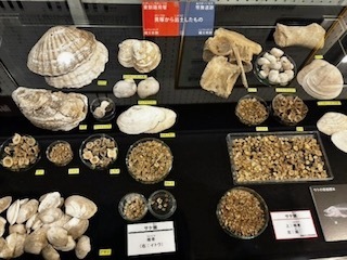IMG_3467.jpg