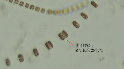No14_2.jpg